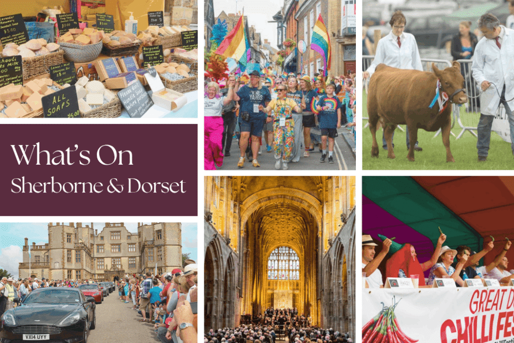 Whats On Sherborne & Dorset